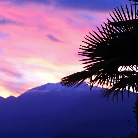 Casa Phonix 3* Locarno