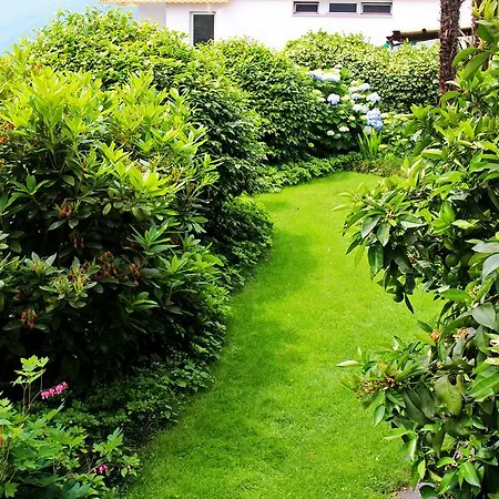 Bed & Breakfast Casa Phonix 3*